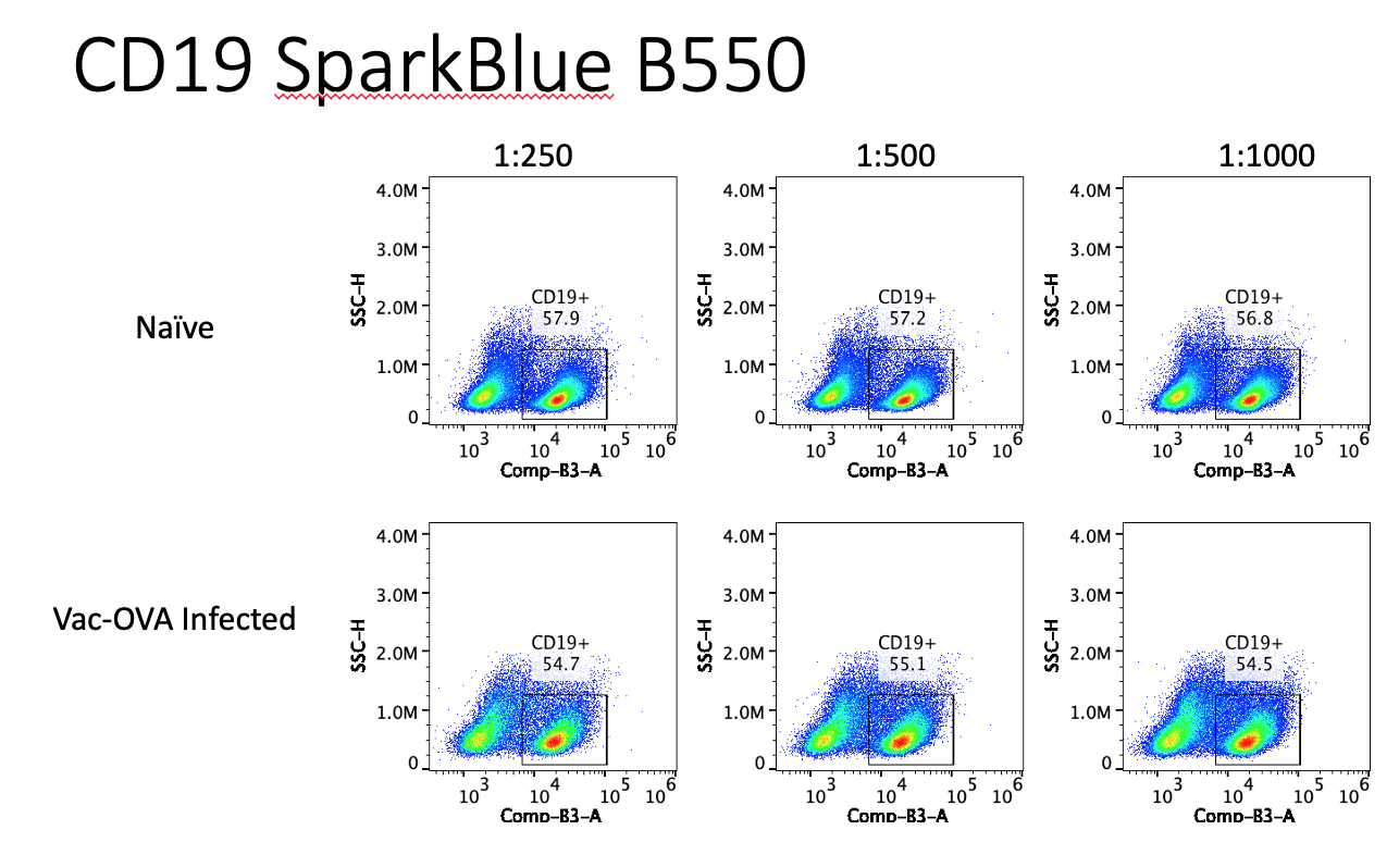 Great Antibody to Detect CD19-Expressing B Cells via Flow